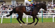 'Young rider can win again on his favourite filly'