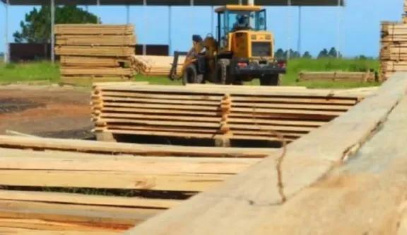 La Forestadora Tapebicuá no fue parte de la venta del Grupo Celulosa Argentina
