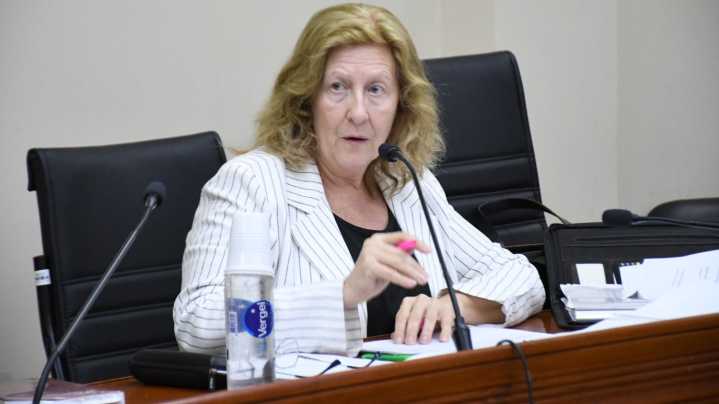 Celia Maldonado, la jueza que aspira a ser fiscal general de la Corte