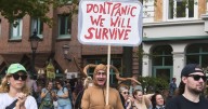 World, business leaders hope to keep momentum in fight against climate change despite US