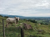Familia rural de Medina (Cundinamarca) recibirá compensación por el abandono forzado de sus predios