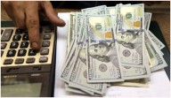 Los argentinos ya compraron más de USD 10.000 millones desde la apertura del cepo cambiario
