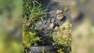 Town of Winona Lake takes action after pollution found in Cherry Creek