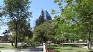 El tiempo para este lunes 29 de septiembre en Santiago del Estero: despejado y con una máxima de 32ºC