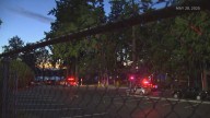 Lakewood 'mass shooting' suspects tied to gang violence, police say