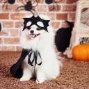 14 Hilarious Pet Halloween Costumes on Amazon, Walmart & More