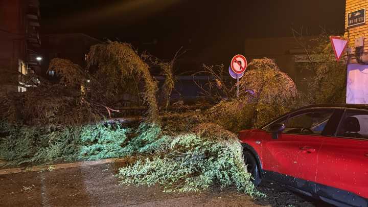 Una tromba de agua, viento y granizo ha arrancado arbolado y ha anegado locales en Binéfar