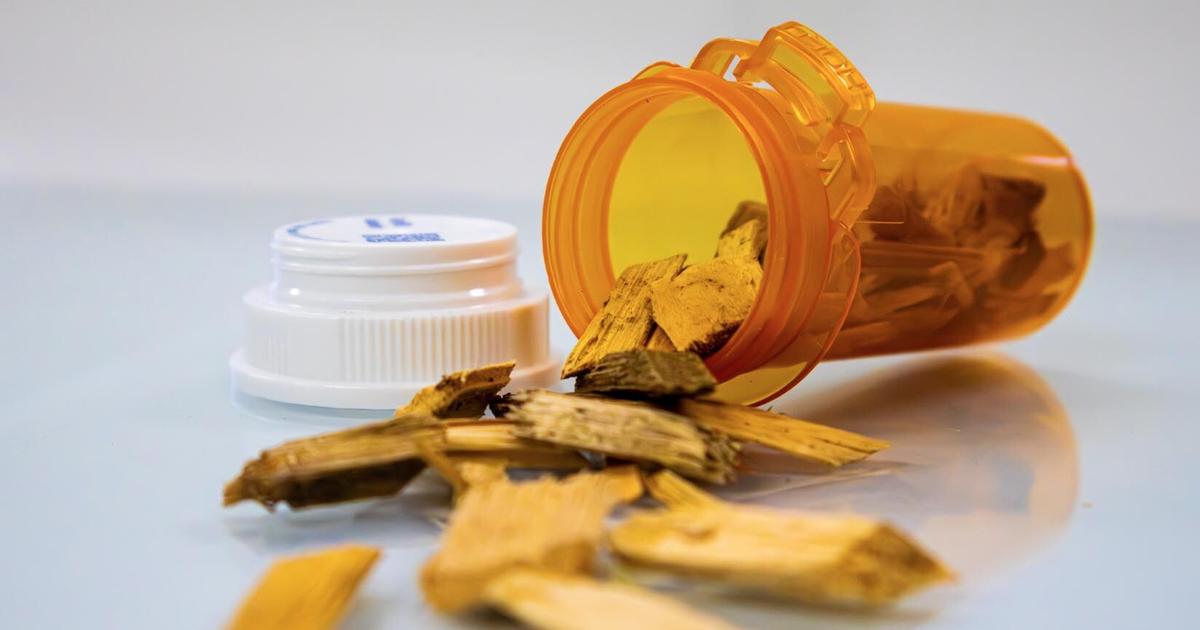 UMaine reseach could help lower cost of prescription drugs
