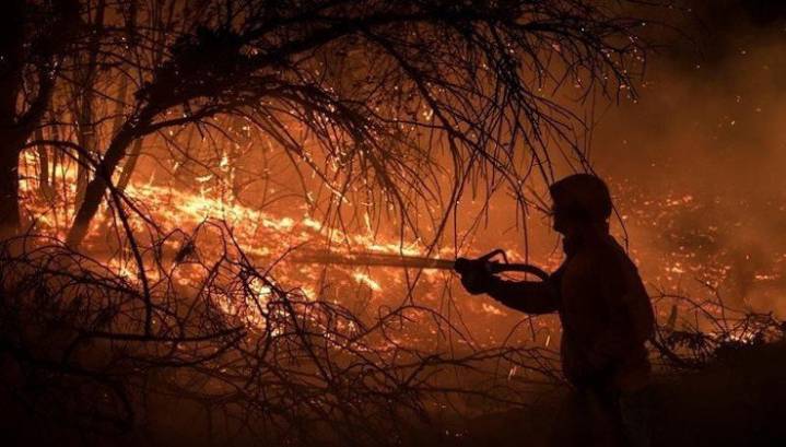 "La prevención de incendios no puede estar en manos privadas"
