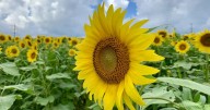 Fall adventures await in Harford County, Maryland