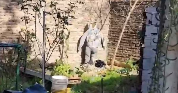 Así es la casa del horror donde hallaron a las tres jóvenes en Florencio Varela