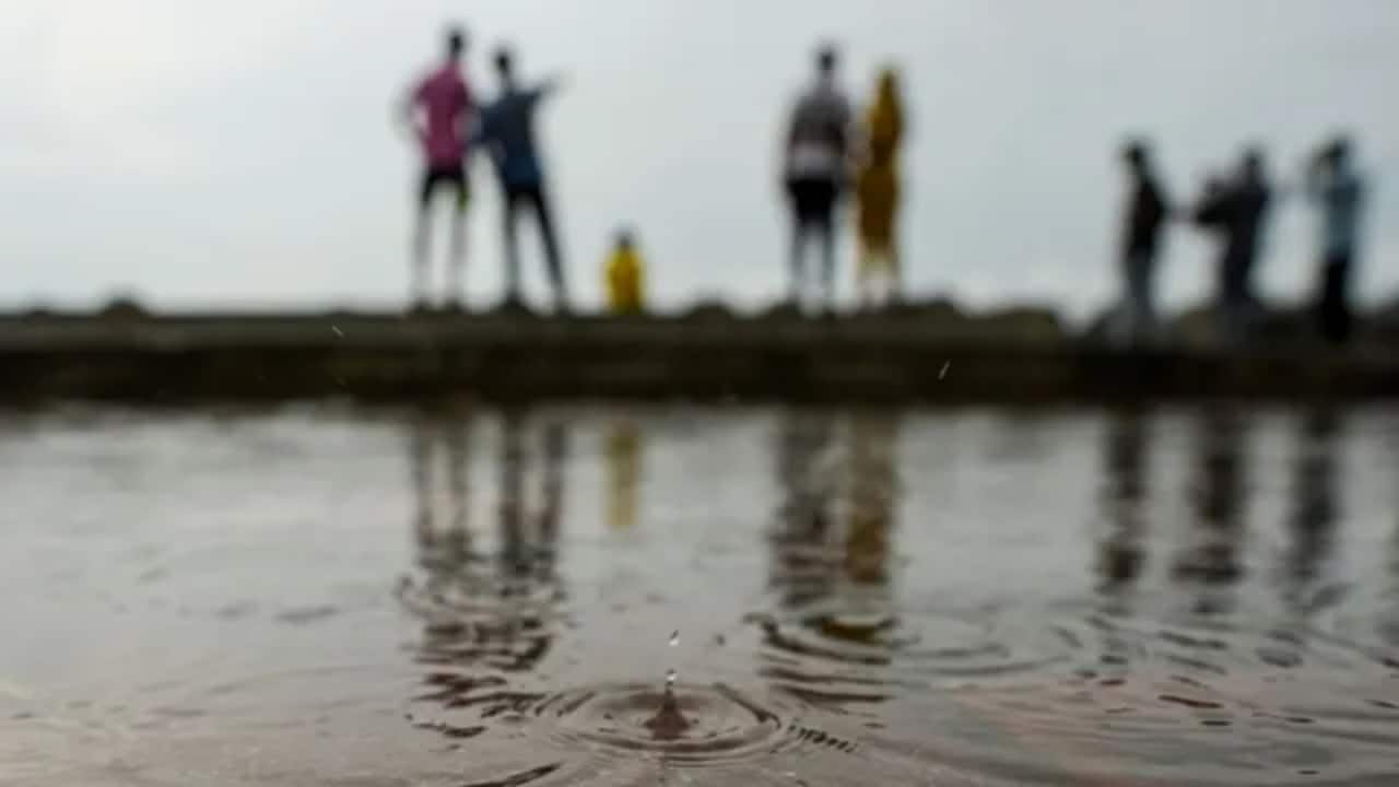 India’s best monsoon in five years fuels hopes for good harvests