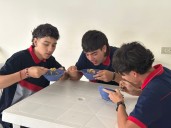 Palmira es modelo en la implementación del PAE en Colombia