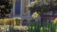Mississippi College suspends 2 employees over social media posts