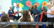 Tucson mural honors Mobile Meals with seniors' vibrant art