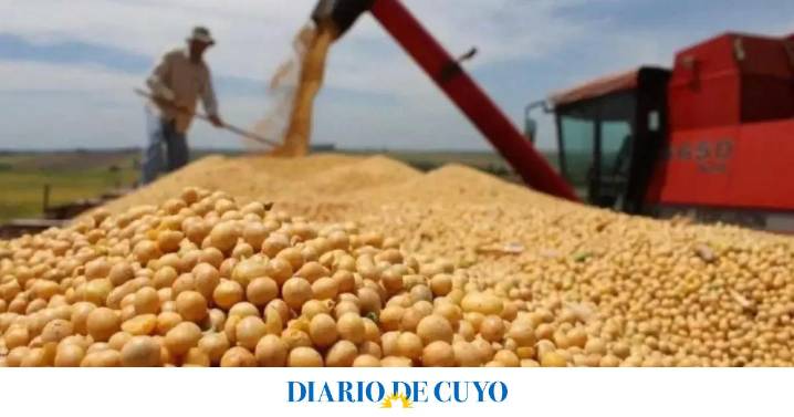 Impulso exportador argentino mueve el mercado de granos