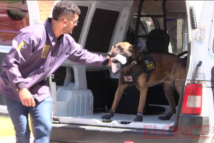 Egresaron 37 guías y perros detectores de drogas en Entre Ríos
