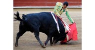 Temporada de protestas: animalistas alistan manifestaciones contra corridas de toros