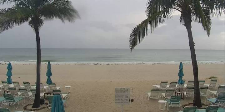 Showers and thunderstorms in the forecast