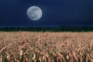 Full September corn moon to shine this weekend, followed by 3 ‘supermoons’