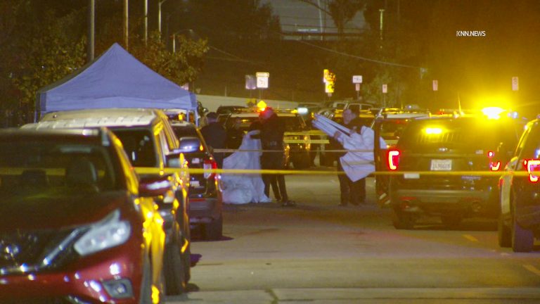 Man fatally shot in South LA