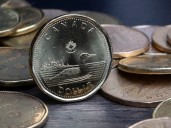 Loonie's growing 'mini-dollar' status puts it at risk