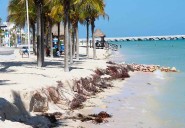 Avance del mar en Progreso obliga a diseñar estrategia urgente