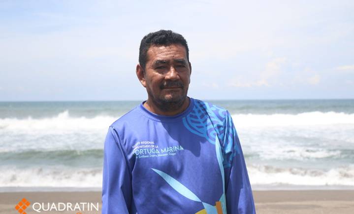 Sin apoyo de gobierno, voluntarios luchan contra extinción de la tortuga