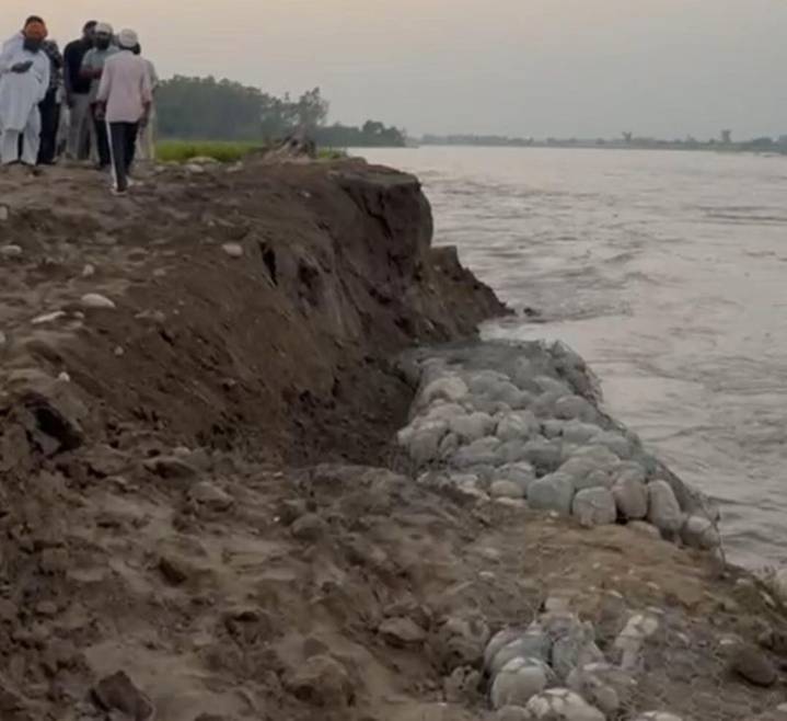 Farmers in Sasrali, Boothgarh villages in Ludhiana await compensation for flood losses