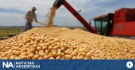 Advierten que la eliminación de retenciones solo favoreció a cerealeras