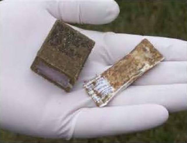 Rabies vaccination baits to be dropped throughout Eastern Tennessee