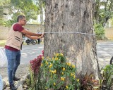 Con sensores de tomografía, la DGMA evalúa riesgos arbóreos en individuos del barrio Fátima