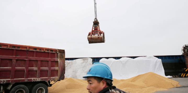 China rompió un récord en las importaciones de soja por la guerra comercial con Estados Unidos: el impacto en la Argentina