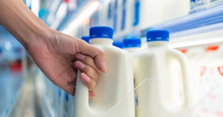 "Ni un café con leche se puede tomar tranquilo": reaccionan al alza en precio de la leche