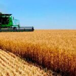 La Sociedad Rural de Rosario pide una baja...