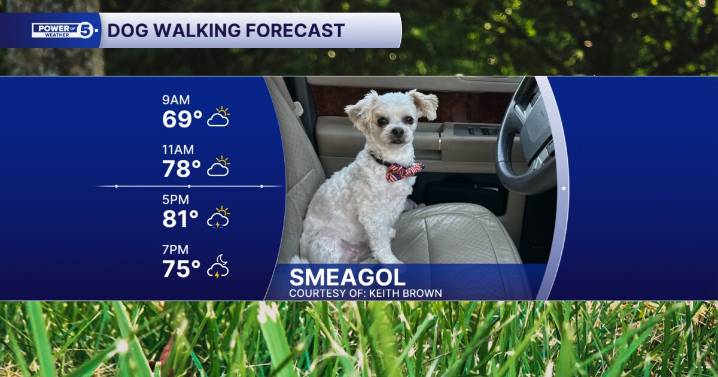 Smeagol is in the spotlight! Sunday's dog walking forecast