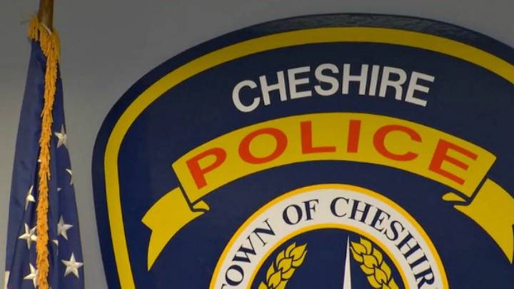 19 animals removed from Cheshire home, 3 charged with animal cruelty