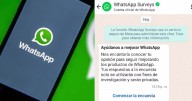 Qué es “WhatsApp Surveys» y qué hacer si te llega un mensaje con una encuesta
