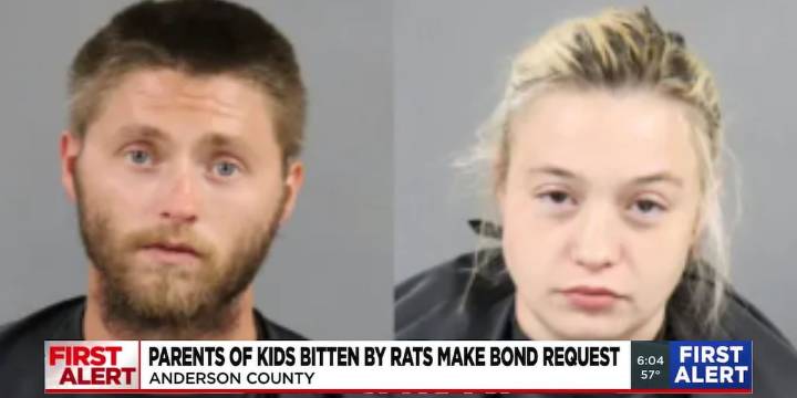 Solicitor: Parents of kids bitten by field rats in Upstate granted visitation rights