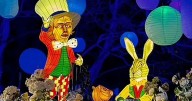 Bents garden centre launches all-new Alice in Wonderland Christmas light trail
