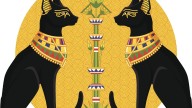 Egipto: el pueblo que conversa con gatos