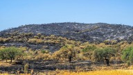 La Red de Asociaciones Río Viar incide en la necesidad de un plan integral contra incendios para la zona sur de Extremadura
