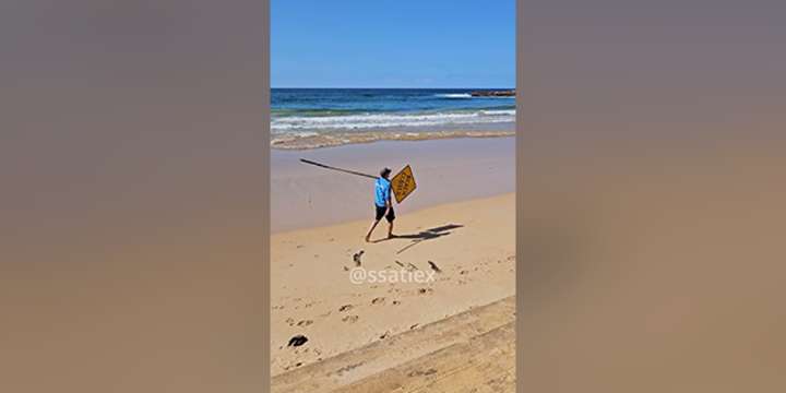 Man killed by 'large shark' at Sydney beach