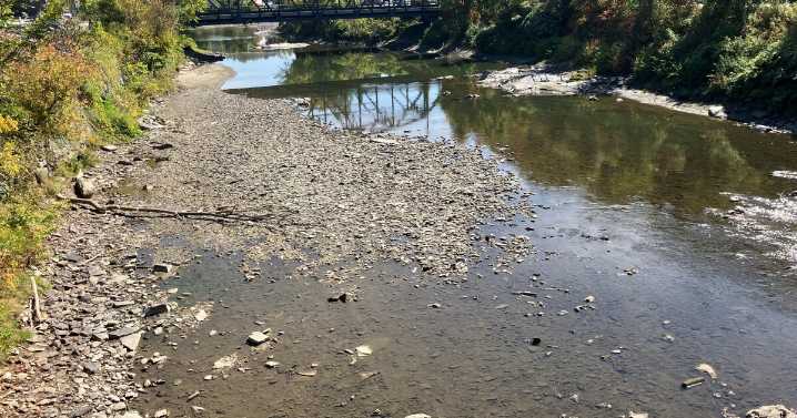 Agency of Natural Resources asks Vermonters to report drought conditions