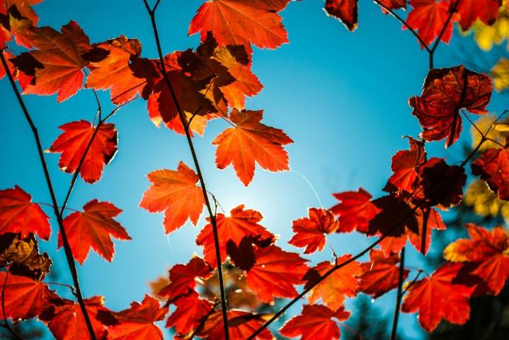 First day of Fall arrives in Toronto with mild weather and changing skies