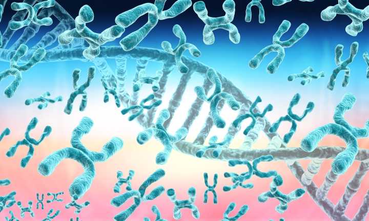 Regenxbio: Poised For Breakthrough With RGX-121 Gene Therapy In Hunter Syndrome