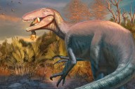 Descubren gigantesco dinosaurio en la Patagonia: comía cocodrilos