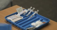 Florida moves to scrap vaccine mandates