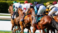 We ask you: what are you betting on with horse racing on strike?