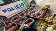 Decomisan frutas tropicales y hojas de coca en un control sobre Ruta 22